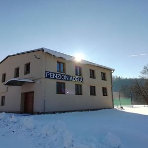 Penzion Adela Hotell Rožnov pod Radhoštěm Exterior photo