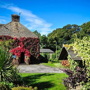 The Wyvill Arms Hotell Leyburn Exterior photo