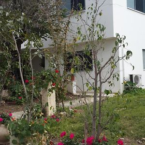 Kibbutz Nachshon Bed and Breakfast Exterior photo