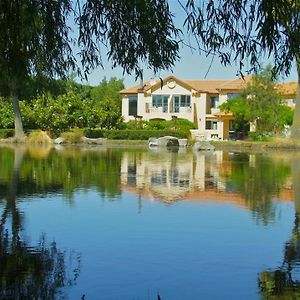 Tuscany Downs Estate Bed and Breakfast Darfield Exterior photo