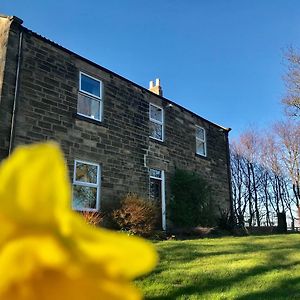 Riding Farm Bed and Breakfast Gateshead Exterior photo