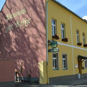 Pension Zur Neisse Hotell Guben Exterior photo