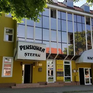 Pensiunea Stefan Hotell Bistriţa Exterior photo