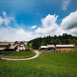 Tourist Farm Pr'Dovar Bed and Breakfast Cerklje na Gorenjskem Exterior photo