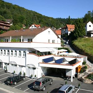 Zum Lowen Heidelberg Exterior photo