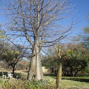 Mariepskop View Caravan Park Hotell Hoedspruit Exterior photo