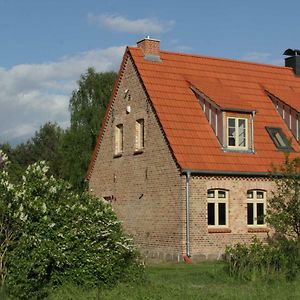 Ferienhaus Amalienhof Lägenhet Boek Exterior photo