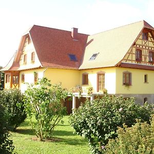 Maison D'Hotes Chez Christelle - Proximite Route Des Vins D'Alsace Bed and Breakfast Griesheim-près-Molsheim Exterior photo