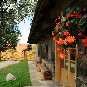 Guest House Ventas Rumba Kuldīga Exterior photo