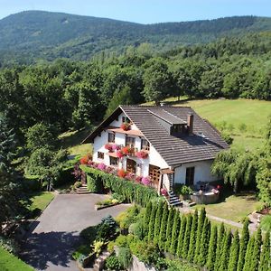 La Maison Fleurie Lägenhet Dieffenbach-au-Val Exterior photo