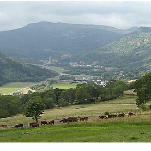 Vacances Au Pied Des Monts Du Cantal Lägenhet Laveissière Exterior photo