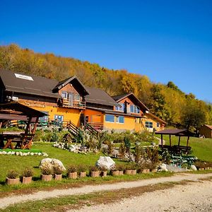 Dumbrava Ursului Hotell Zărneşti Exterior photo