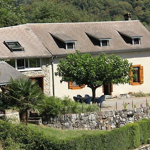 Maison Du Coue Pyrenees Mourtis Gite Pour 2 A 12 Pers Villa Sengouagnet Exterior photo