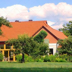 Janischs Fewo Im Spreewald, Terrasse, Grosser Garten Und Blick Inklusive Lägenhet Unterspreewald Exterior photo