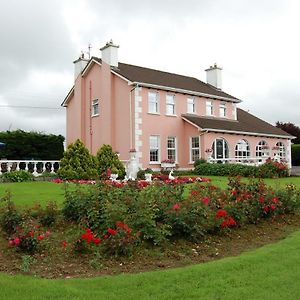 Ballingowan House Bed and Breakfast Newcastle West Exterior photo