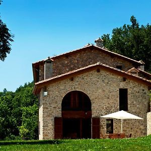 Mas Serrat De La Teia Pensionat Sant Joan de les Abadesses Exterior photo