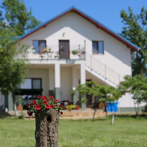 Pensiunea Palaghia Hotell Jurilovca Exterior photo