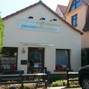 Pension Am Burgwall Hotell Wißmar Exterior photo