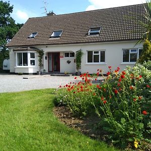 Twin Oaks Bed & Breakfast Bed and Breakfast Kilkenny Exterior photo