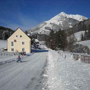 Ferienwohnung Bluemelhube Wohnung Anja Vordernberg Exterior photo