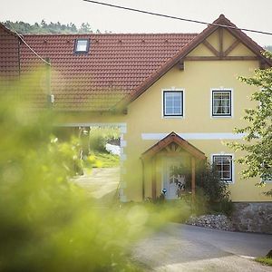 Gaestehaus Gnant Lägenhet Winten  Exterior photo