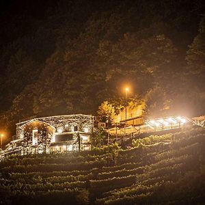 Agriturismo Bio Ca' Pianazola Villa Chiavenna Exterior photo