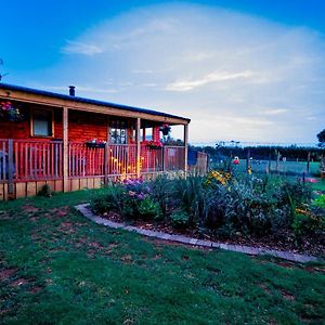 Cherry Tree Glamping Villa Stroud  Exterior photo