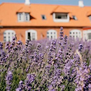 Jungshoved Praestegard B&B Præstø Exterior photo