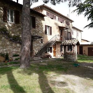 Il Rifugio Del Leone Lägenhet Perugia Exterior photo