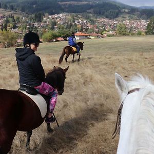 Dona Guest House - Horse Riding Koprivsjtitsa Exterior photo