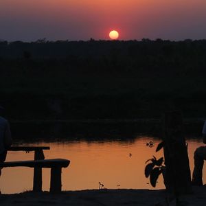 Jungle Sunset Camp Hotell Sauraha Exterior photo