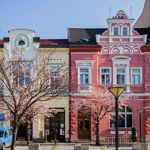 Apart U Lva Hotell Vsetín Exterior photo