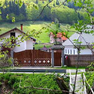 Gospodaria Lui Nea Ion Pensionat Vama Buzăului Exterior photo