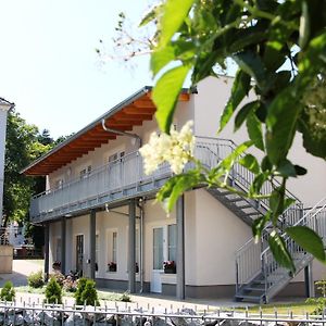 Pension Am Ziegelwall Hotell Bautzen Exterior photo