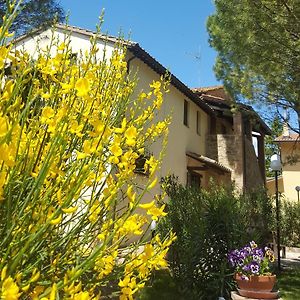 Agriturismo La Ginestrella Pensionat Civitella D'Arna Exterior photo