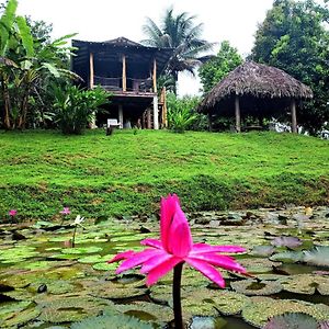 Bluff Hidden Paradise Pensionat Bocas del Toro Exterior photo