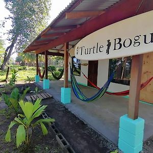 Casa Turtle Bogue Hotell Tortuguero Exterior photo