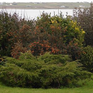 Drom Caoin Bed and Breakfast Belmullet Exterior photo