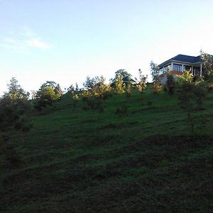 The Crested Crane Bwindi Hotel Rugando Exterior photo