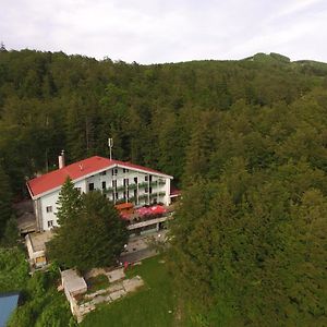 Great Mountain B&B Platak Exterior photo