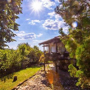 Къща За Гости Пъстрина Hotell Subotkovtsi Exterior photo