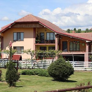 Casa De Vacanta Madalina Hotell Novaci-Străini Exterior photo