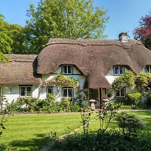 Thatched Eaves Ibsley Exterior photo