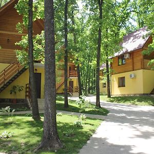 Вілія Hotell Lomacineţi Exterior photo