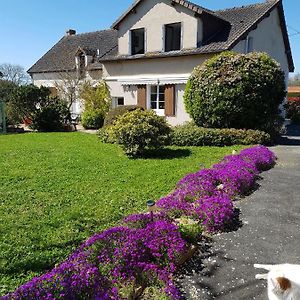 Chambres D'Hotes Anne-Marie Châtillon-sur-Indre Exterior photo