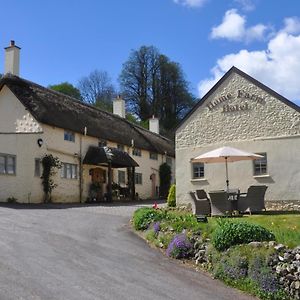 Home Farm Hotel & Restaurant Kilmington  Exterior photo