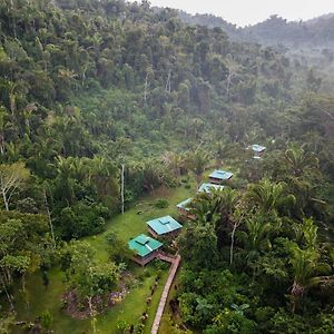 Jaguar Creek Hotell Good Living Camp Exterior photo