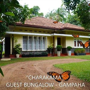 Charakama Guest Bungalow - Gampaha Hotell Exterior photo