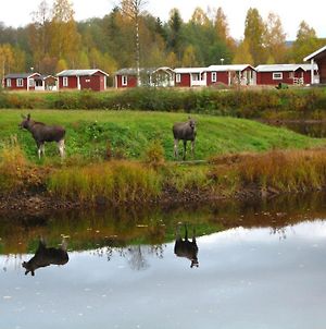 Klarälvens Camping Hotell Stöllet Room photo
