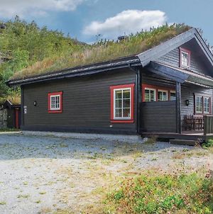 Awesome Home In Hemsedal With 4 Bedrooms And Sauna Exterior photo